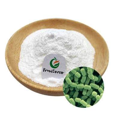Lactobacillus fermentum probiotický