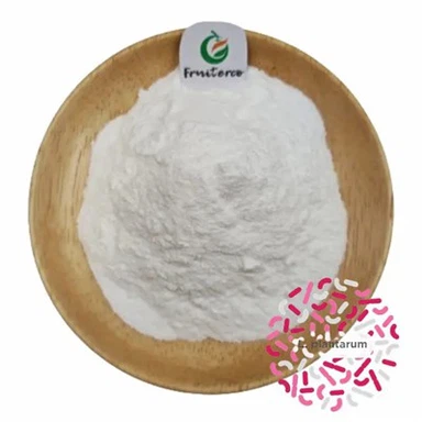 Laktobacillus plantarum